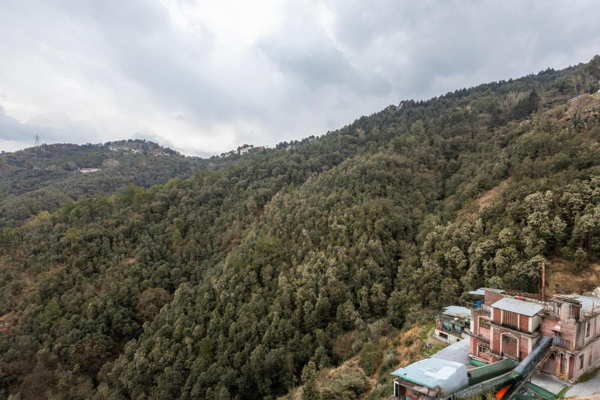 Treebo Lords Garden Glory With Valley View & Centralized Heating Shimla Eksteriør bilde